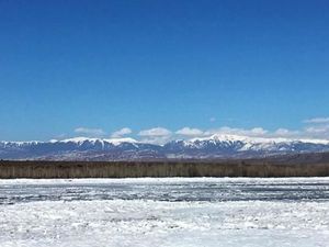 Mengkhawatirkan, Siberia Terlalu Lama Bercuaca Hangat