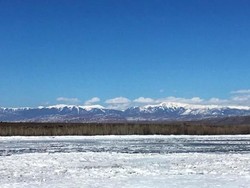 Mengkhawatirkan, Siberia Terlalu Lama Bercuaca Hangat