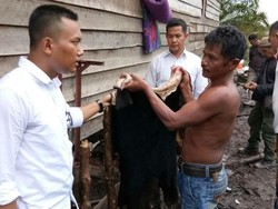 4 Pembantai Beruang Madu Diserahkan ke KLHK