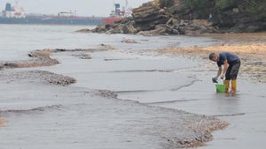Pipa Minyak Terbakar, Pantai Banua Patra Balikpapan Tercemar