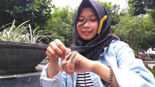Mahasiswi Ini Hobi Main Bersama Ulat Bulu, Lihat Aksinya