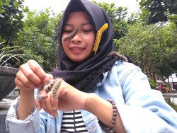 Video Hijabers Asyik Main Ulat Bulu dan Kalajengking