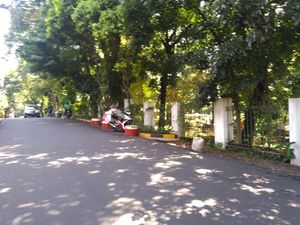 Di Lokasi Mobil Ratna Sarumpaet Diderek Tak Ada Marka Larangan Parkir Di Lokasi Mobil Ratna Sarumpaet Diderek Tak Ada Marka Larangan Parkir