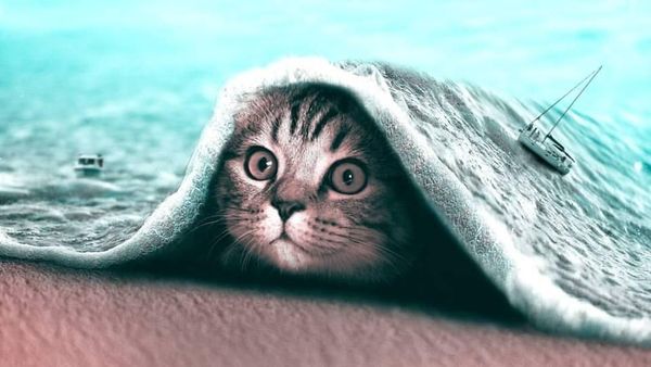 Foto Editan Photoshop yang Penuh Imajinasi