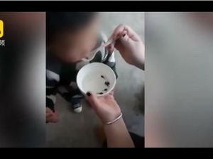 Viral Video Ibu Suapi Anak Kecebong Hidup, Ini Akibat yang Bisa Terjadi Viral Video Ibu Suapi Anak Kecebong Hidup, Ini Akibat yang Bisa Terjadi