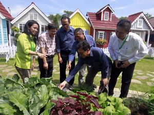 Melihat Pertanian di Tengah Kota