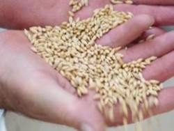 Produk Pangan Australia Bakal Banjiri RI?