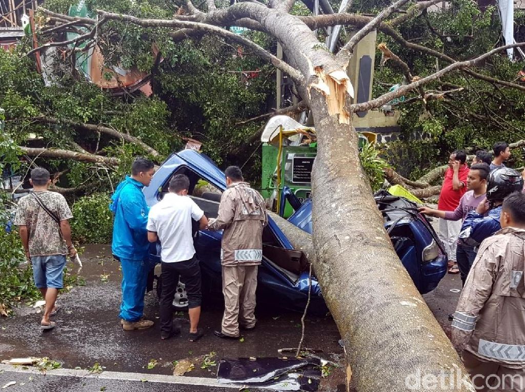 Dramatis, Bripka Lutfi Lolos dari Maut Saat Mobilnya Tertimpa Pohon Dramatis, Bripka Lutfi Lolos dari Maut Saat Mobilnya Tertimpa Pohon