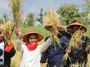 Safari Puti ke Ponorogo, Panen Padi Hingga Kunjungi Aisyiyah Safari Puti ke Ponorogo, Panen Padi Hingga Kunjungi Aisyiyah