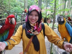 Tempat Asyik Lihat Burung di Bandung