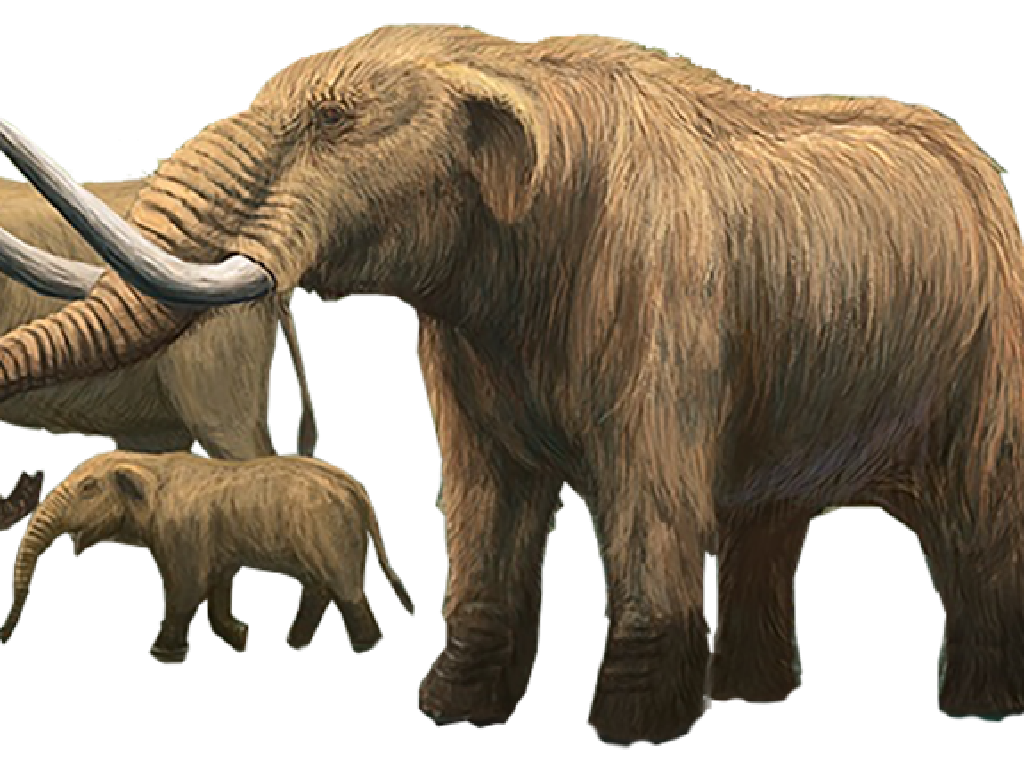 3 Generasi Gajah yang Pernah Hidup di Sangiran, Ketahui Yuk!