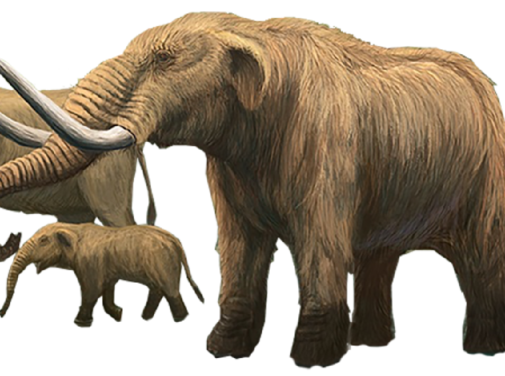 3 Generasi Gajah yang Pernah Hidup di Sangiran, Ketahui Yuk! 3 Generasi Gajah yang Pernah Hidup di Sangiran, Ketahui Yuk!