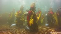 Foto: Serunya Penari Gandrung Banyuwangi Beraksi di Bawah Laut