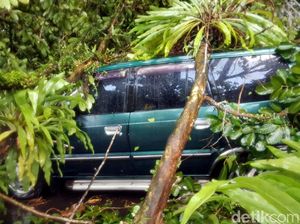 Bruk! 13 Pohon Tumbang di Kota Sukabumi, Arus Lalin Dialihkan Bruk! 13 Pohon Tumbang di Kota Sukabumi, Arus Lalin Dialihkan