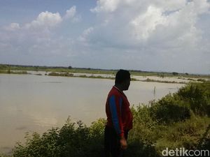 Tambak Warga di Rembang Kebanjiran, Petani Merugi Ratusan Juta Tambak Warga di Rembang Kebanjiran, Petani Merugi Ratusan Juta