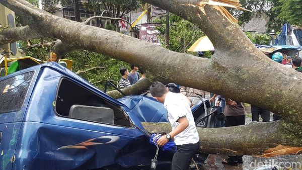 Begini Dahsyatnya Badai di Sukabumi yang Tumbangkan Belasan Pohon