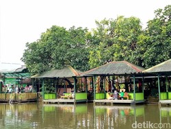 Serunya Mancing dan Makan Gurame Saus Mangga