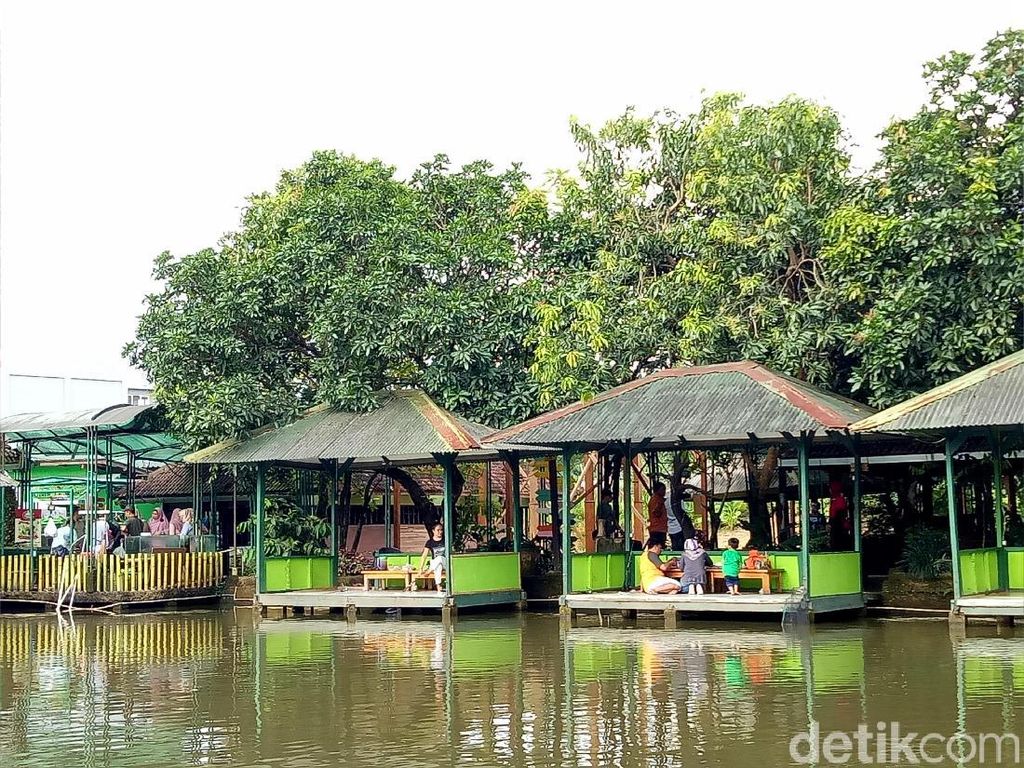 Serunya Mancing dan Makan Gurame Saus Mangga Serunya Mancing dan Makan Gurame Saus Mangga