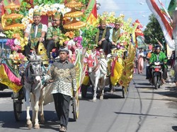 Temui Nelayan, Ketum PPP Diarak Pakai Delman