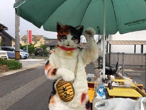 Ah, Lucunya! Wanita Ini Jual Ubi Bakar dengan Kostum Kucing Ah, Lucunya! Wanita Ini Jual Ubi Bakar dengan Kostum Kucing