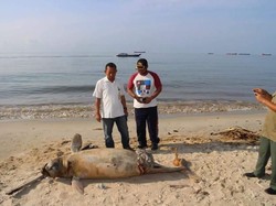 FPKS Minta Kasus Minyak Tumpah di Balikpapan Diusut Tuntas