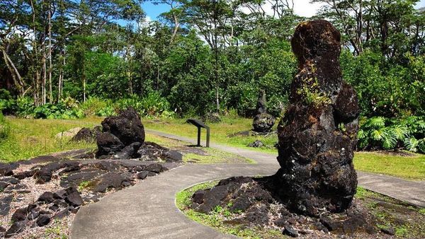 Pohon-pohon Lahar yang Pasti Belum Pernah Kamu Lihat