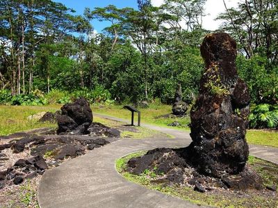 Pohon-pohon Lahar yang Pasti Belum Pernah Kamu Lihat