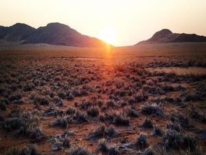 BUMN RI Diajak Bikin Pelabuhan hingga Rel Kereta di Namibia