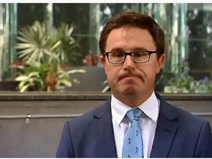 Ribuan Domba Australia Mati di Kapal Ekspor Ternak Hidup