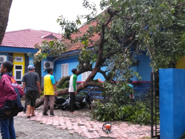 Hujan Angin Rusak Atap dan Robohkan Belasan Pohon di Kediri