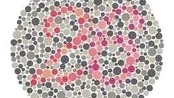 Tes Buta Warna, Angka yang Dilihat Bisa Tentukan Jenis Buta Warna Kamu