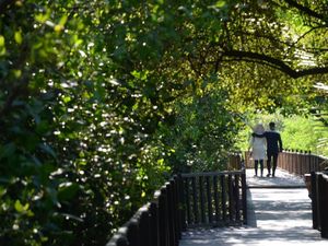 Duh, Masih Banyak Pengunjung Mesum di Wisata Mangrove Wonorejo
