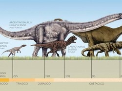 Seberapa Besar Hewan Bisa Tumbuh?