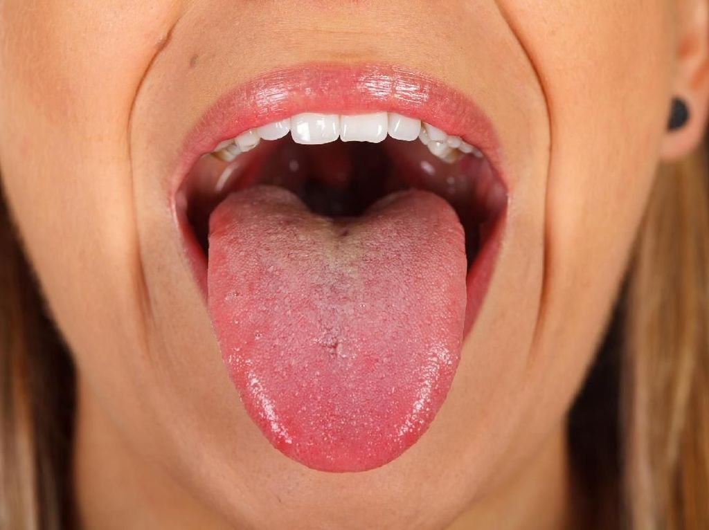 Kata Peneliti Lidah Punya Kemampuan Mencium Aroma Loh Kata Peneliti Lidah Punya Kemampuan Mencium Aroma Loh
