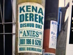 Kata Ratna Sarumpaet soal Meme Kena Derek Hubungi Anies