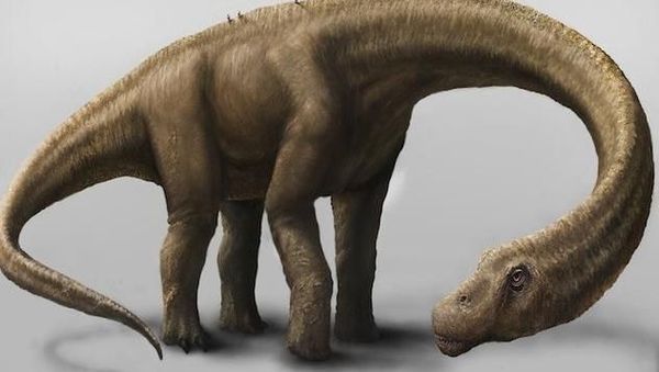 10 Dinosaurus Terbesar Sepanjang Sejarah