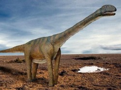 Penemuan 400 Jejak Kaki di Gunung Dinosaurus China