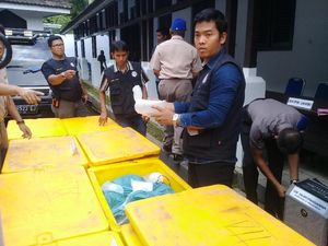Hendak Diselundupkan ke Singapura, Benih Lobster Rp 10 M Diamankan Hendak Diselundupkan ke Singapura, Benih Lobster Rp 10 M Diamankan
