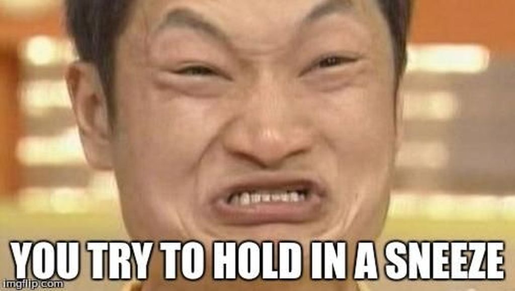 10 Meme Lucu Ekspresi Ketika Kamu Harus Menahan Bersin 10 Meme Lucu Ekspresi Ketika Kamu Harus Menahan Bersin