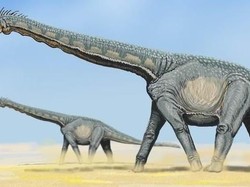 Fosil Dinosaurus Raksasa Ditemukan di Argentina, Hidup 90 Juta Tahun Lalu