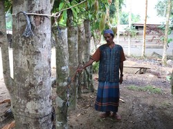 Cerita Sedih di Balik Kehebohan Listrik Kedondong