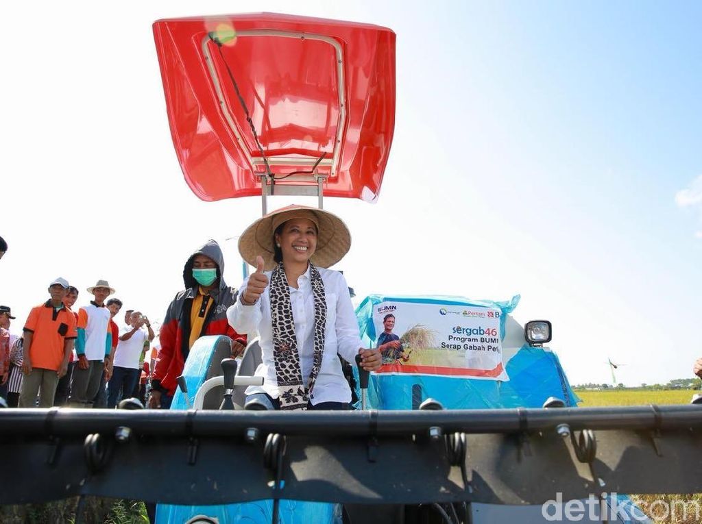 Panen Padi di Banyuwangi, Rini: Gabah Kita Beli Rp 4.400/Kg Panen Padi di Banyuwangi, Rini: Gabah Kita Beli Rp 4.400/Kg