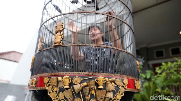 Burung Berkicau, Bisnis Sampingan Herry IP