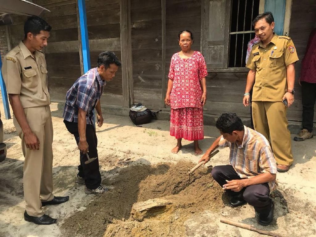 Iseng Cangkul Tanah, Tim Museum Trinil Temukan Fosil di Rumah Warga Iseng Cangkul Tanah, Tim Museum Trinil Temukan Fosil di Rumah Warga