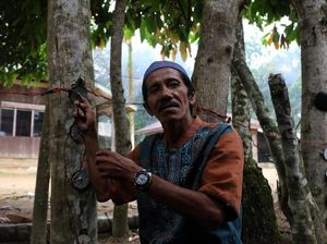 Foto: Geger Listrik Kedondong yang Tinggal Cerita Foto: Geger Listrik Kedondong yang Tinggal Cerita