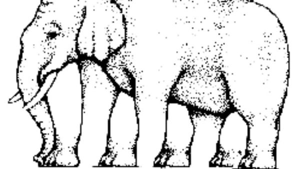 10 Ilusi Optik Pengecoh Otak, Bisakah Kamu Melihatnya?
