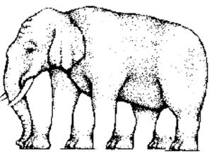 10 Ilusi Optik Pengecoh Otak, Bisakah Kamu Melihatnya?