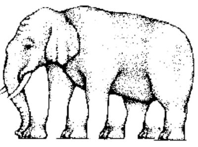 10 Ilusi Optik Pengecoh Otak, Bisakah Kamu Melihatnya?