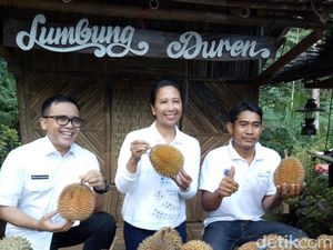 Pujian Menteri BUMN Rini Soemarno Pada Kampung Durian Banyuwangi