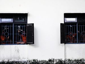 Dari Makan, Tidur, Hingga Dijemur